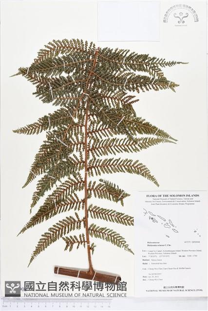 登錄號:BP00908藏品圖，第1張