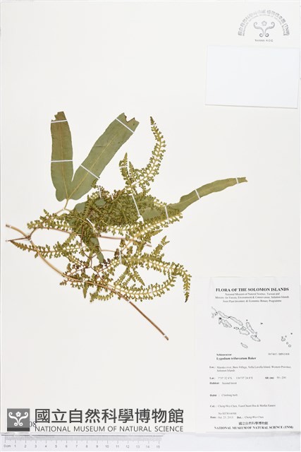登錄號:BP01908藏品圖，第1張