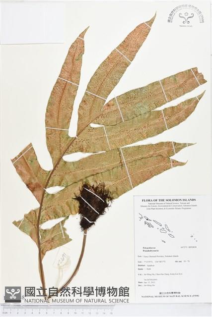 登錄號:BP00838藏品圖，第1張