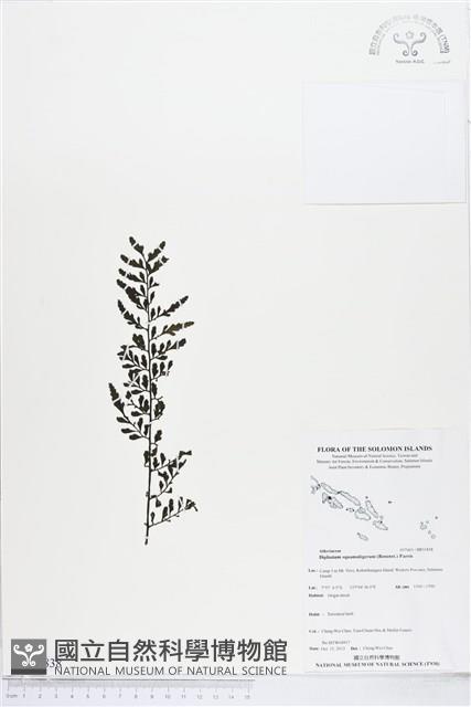 登錄號:BP01838藏品圖，第1張