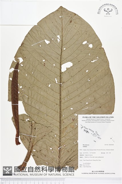 登錄號:BS01838藏品圖，第1張