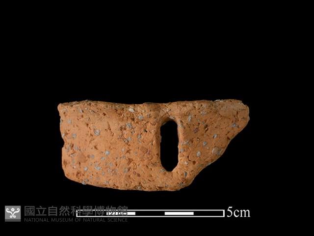 陶罐藏品圖，第1張