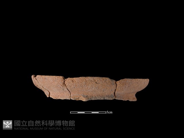 陶罐藏品圖，第1張