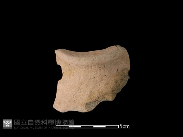 陶罐藏品圖，第1張