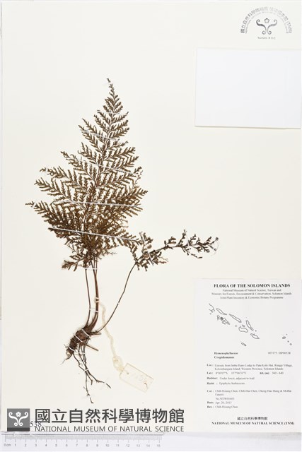 登錄號:BP00538藏品圖，第1張