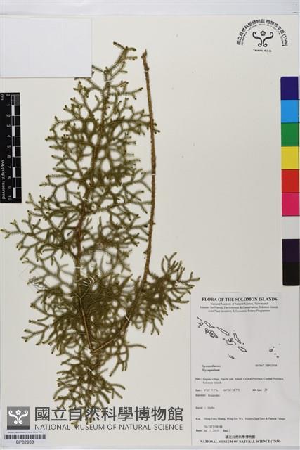 登錄號:BP02938藏品圖，第1張