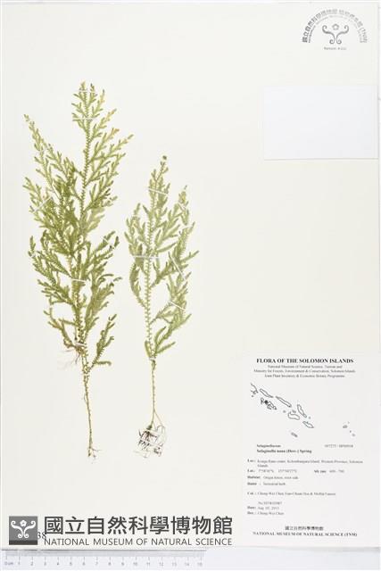 登錄號:BP00938藏品圖，第1張