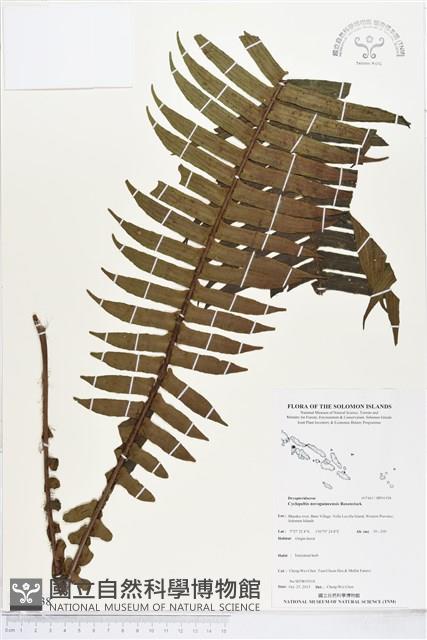 登錄號:BP01938藏品圖，第1張