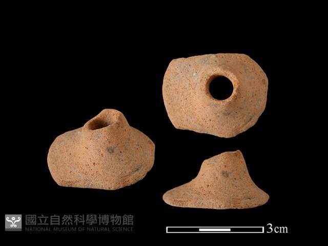 紡輪藏品圖，第1張