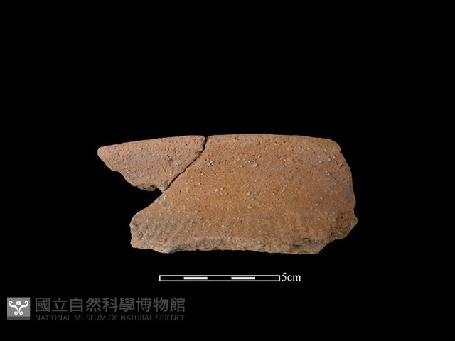 陶罐藏品圖，第1張
