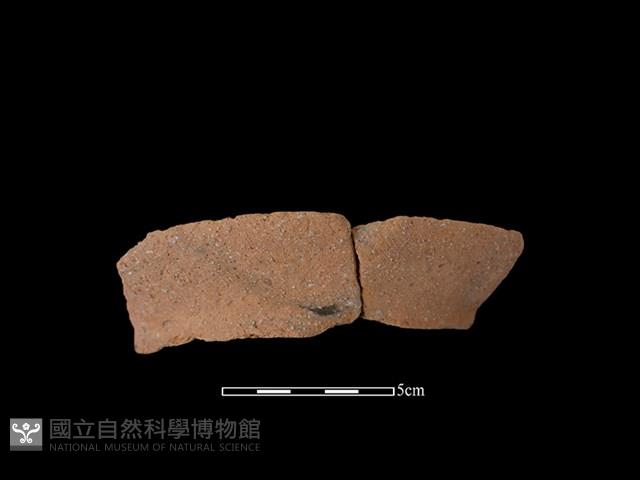 陶罐藏品圖，第1張