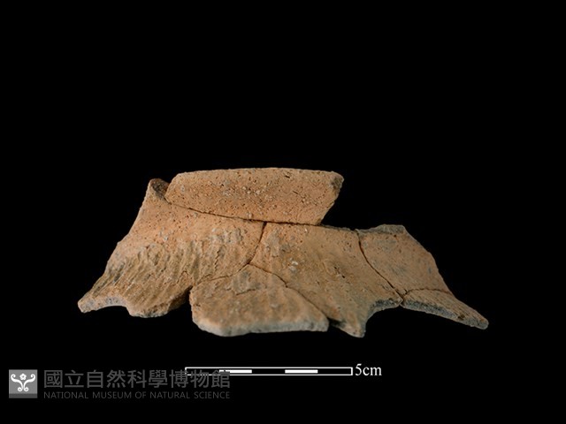 陶罐藏品圖，第1張