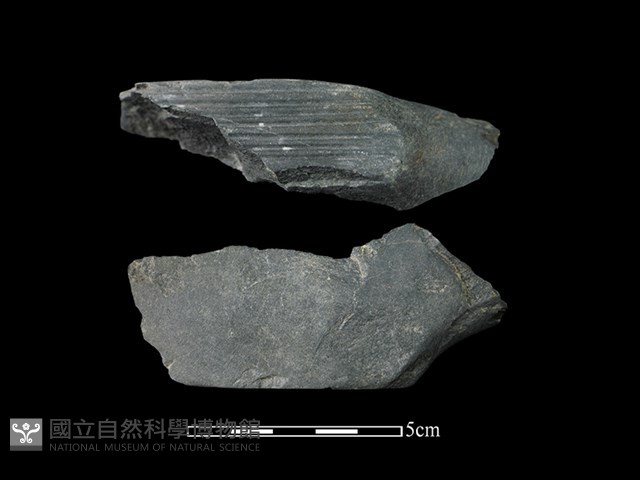 樹皮布打棒藏品圖，第1張