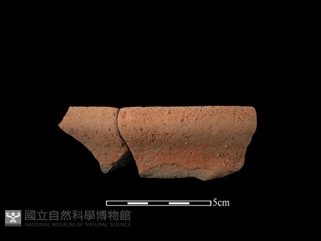 陶罐藏品圖，第1張