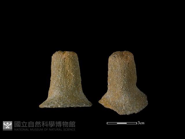 陶蓋鈕藏品圖，第1張