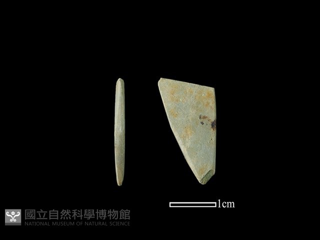 磨製石器藏品圖，第1張