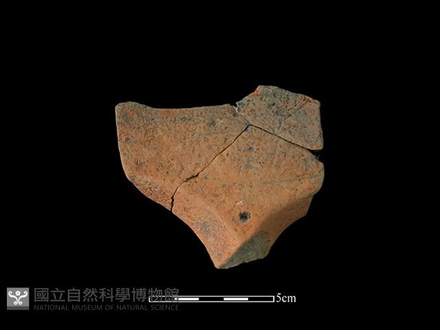 連杯形器藏品圖，第1張