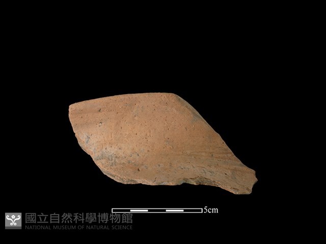 陶罐藏品圖，第1張