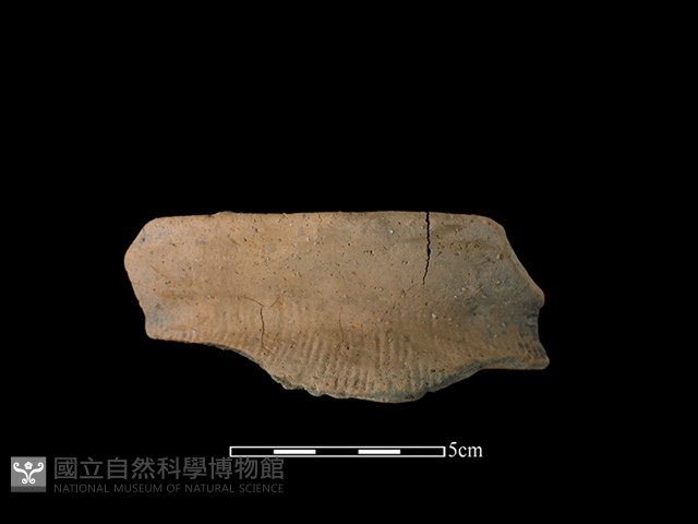 陶罐藏品圖，第1張