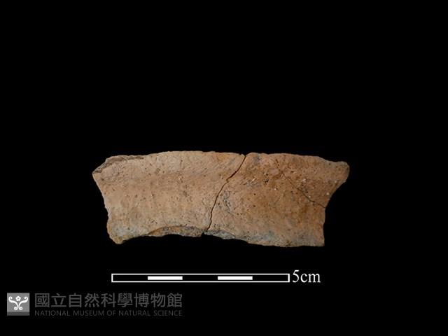 陶罐藏品圖，第1張