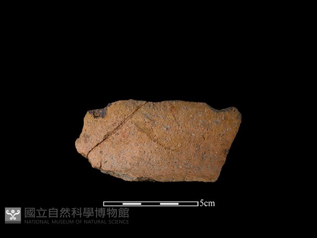 陶罐藏品圖，第1張