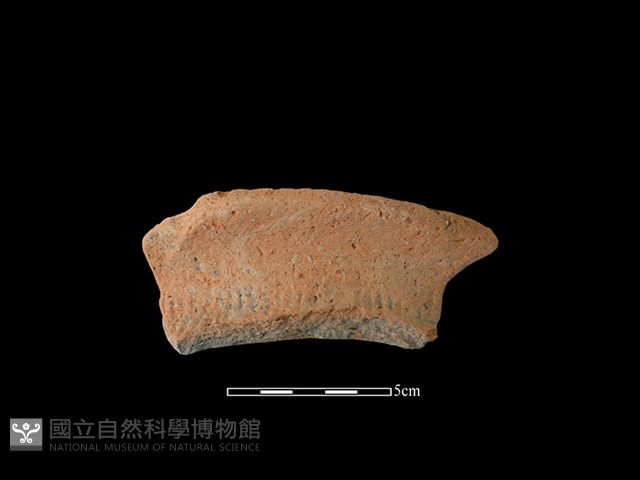 陶罐藏品圖，第1張
