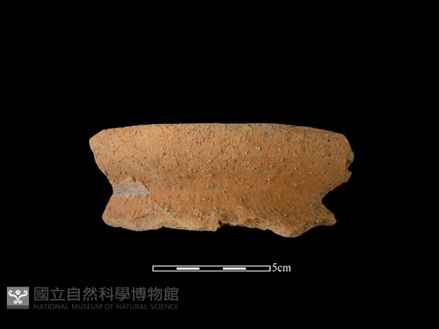 陶罐藏品圖，第1張