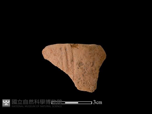 連杯形器藏品圖，第1張