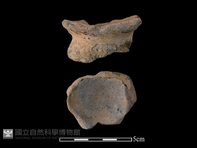 陶片藏品圖，第1張