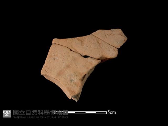 連杯形器藏品圖，第1張