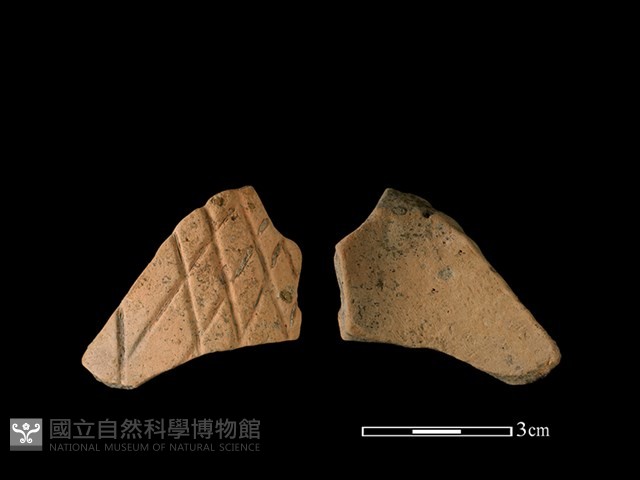 連杯形器藏品圖，第1張