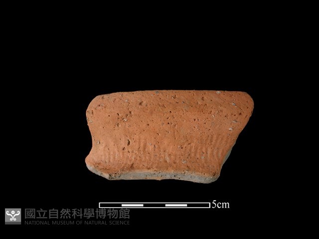 陶罐藏品圖，第1張