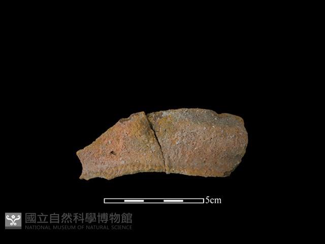 陶罐藏品圖，第1張