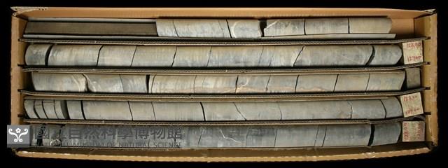 登錄號:C000728藏品圖，第2張