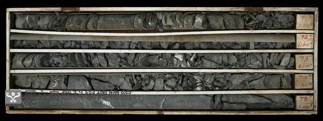 Accession Number:C000628 Collection Image, Figure 2, Total 2 Figures