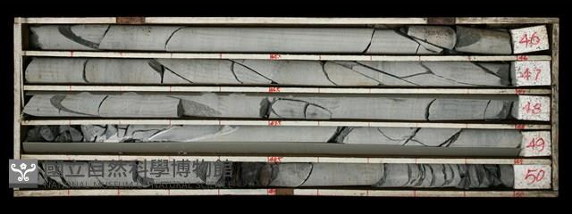 Accession Number:C000518 Collection Image, Figure 2, Total 2 Figures