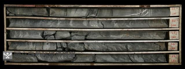 登錄號:C000608藏品圖，第2張