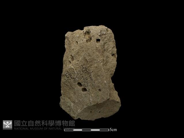 斧鋤形器藏品圖，第1張