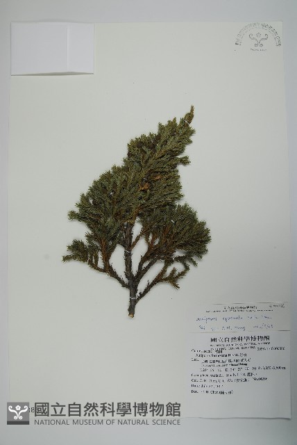 香青藏品圖，第1張