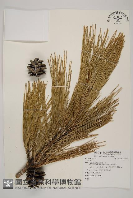 登錄號:G000896藏品圖，第1張