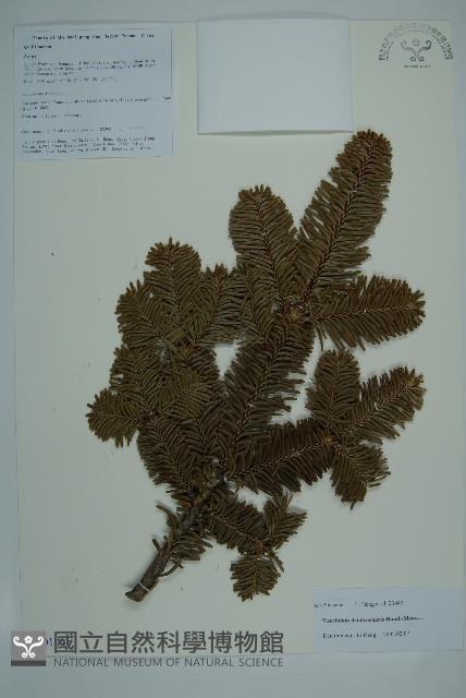 登錄號:G001066藏品圖，第1張