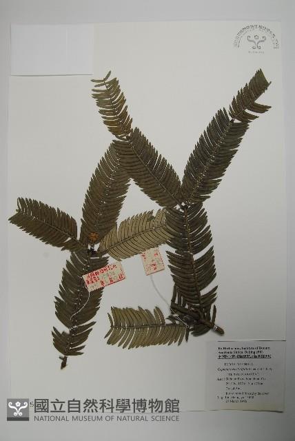 登錄號:G000556藏品圖，第1張