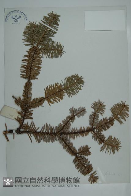 登錄號:G000356藏品圖，第1張