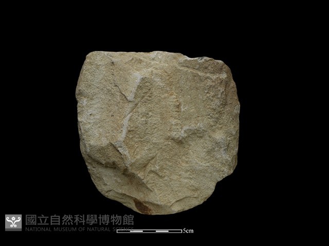 斧鋤形器藏品圖，第1張