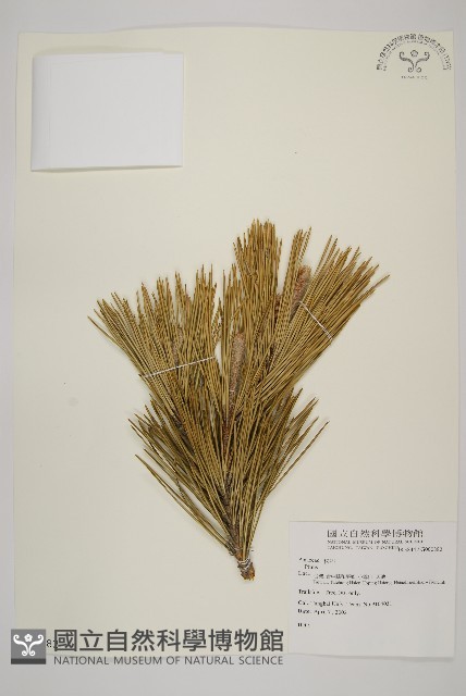 登錄號:G000882藏品圖，第1張