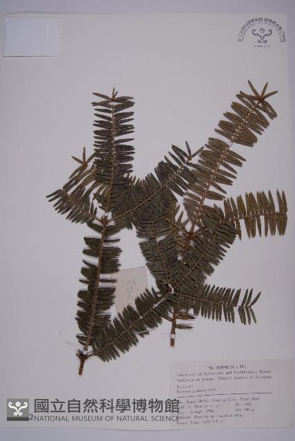 登錄號:G000292藏品圖，第1張