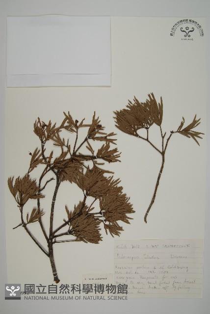 登錄號:G000992藏品圖，第1張