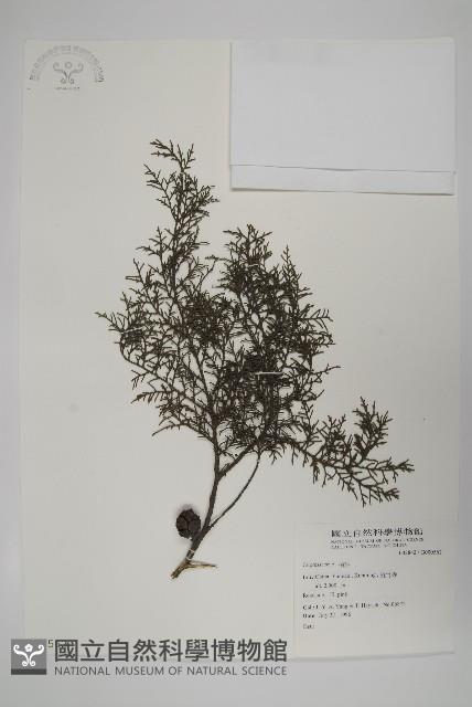 登錄號:G000562藏品圖，第1張