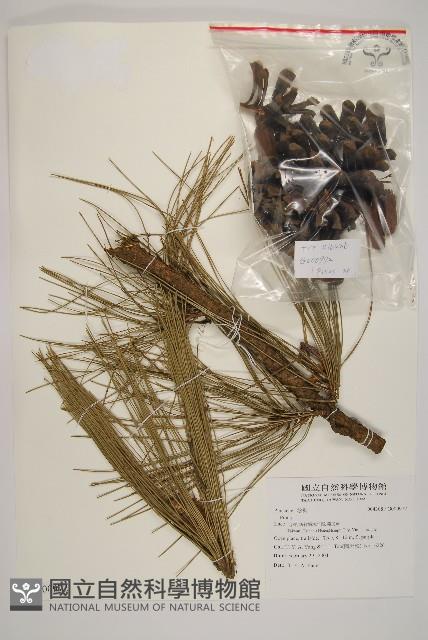 登錄號:G000972藏品圖，第1張