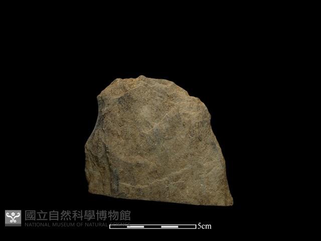 斧鋤形器藏品圖，第2張